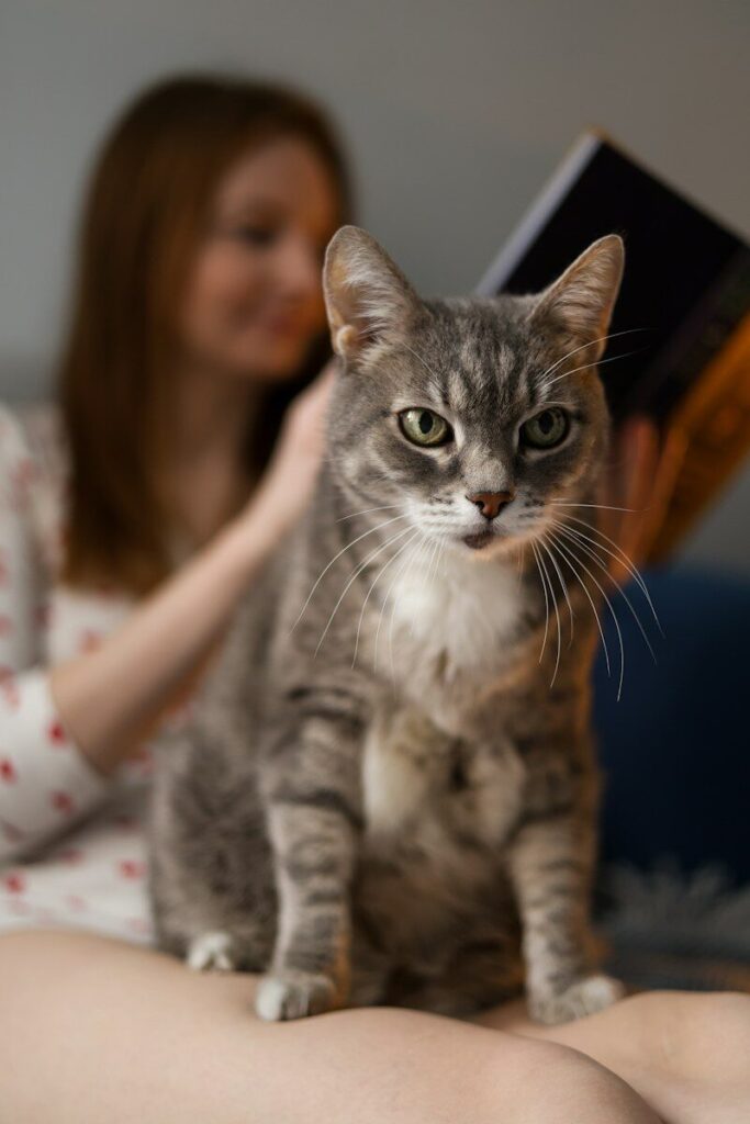 A cat sits with its human reading a book